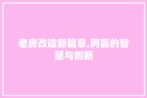 老房改造新篇章,阿磊的智慧与创新