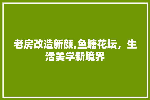 老房改造新颜,鱼塘花坛，生活美学新境界