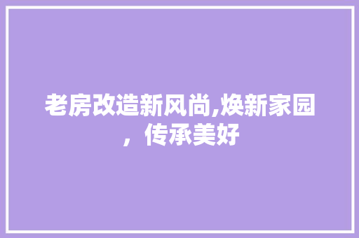 老房改造新风尚,焕新家园，传承美好