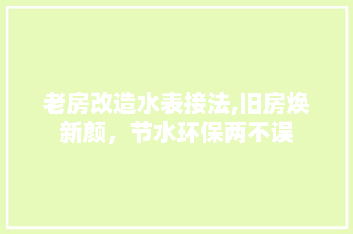 老房改造水表接法,旧房焕新颜，节水环保两不误