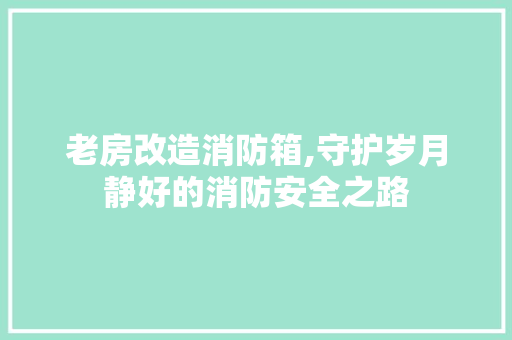 老房改造消防箱,守护岁月静好的消防安全之路