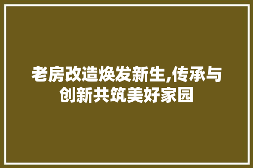 老房改造焕发新生,传承与创新共筑美好家园