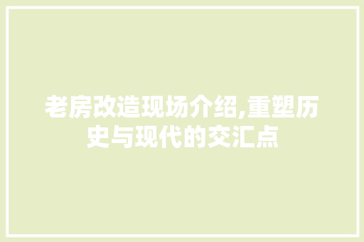 老房改造现场介绍,重塑历史与现代的交汇点