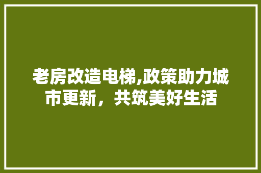 老房改造电梯,政策助力城市更新，共筑美好生活