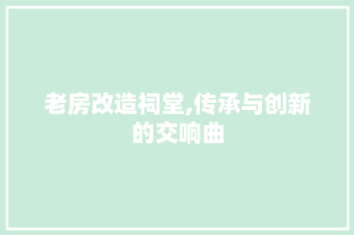 老房改造祠堂,传承与创新的交响曲 厨房维修