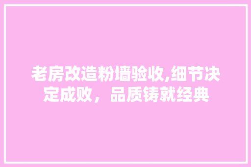 老房改造粉墙验收,细节决定成败，品质铸就经典 厨房维修