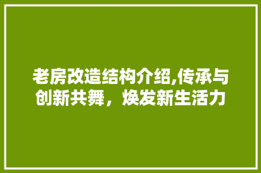 老房改造结构介绍,传承与创新共舞，焕发新生活力