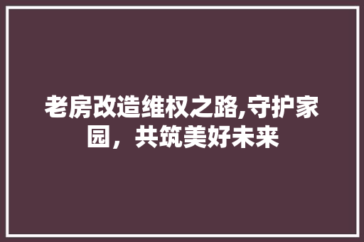 老房改造维权之路,守护家园，共筑美好未来
