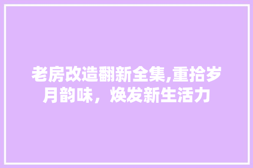 老房改造翻新全集,重拾岁月韵味，焕发新生活力