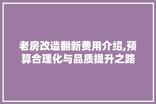 老房改造翻新费用介绍,预算合理化与品质提升之路