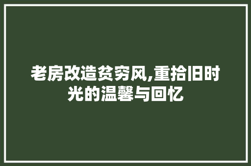 老房改造贫穷风,重拾旧时光的温馨与回忆