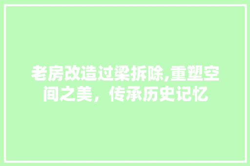 老房改造过梁拆除,重塑空间之美，传承历史记忆