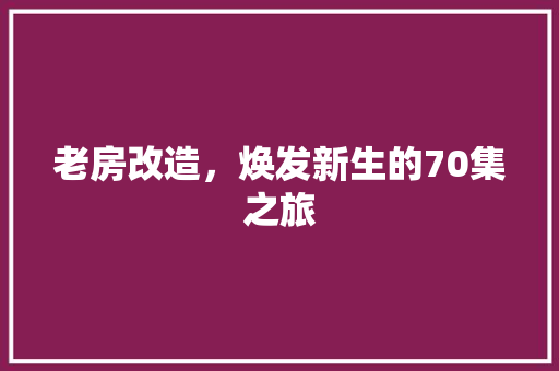 老房改造，焕发新生的70集之旅