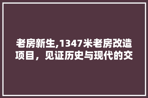老房新生,1347米老房改造项目，见证历史与现代的交融