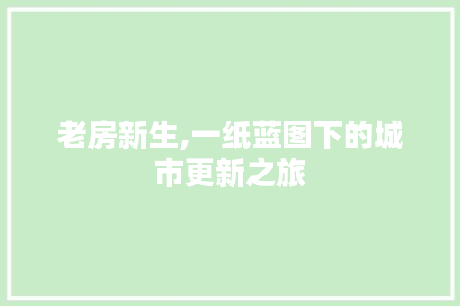 老房新生,一纸蓝图下的城市更新之旅