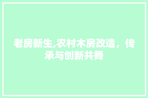 老房新生,农村木房改造，传承与创新共舞