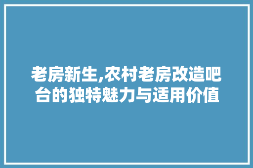 老房新生,农村老房改造吧台的独特魅力与适用价值