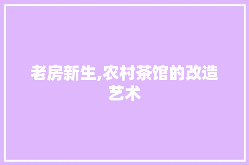 老房新生,农村茶馆的改造艺术