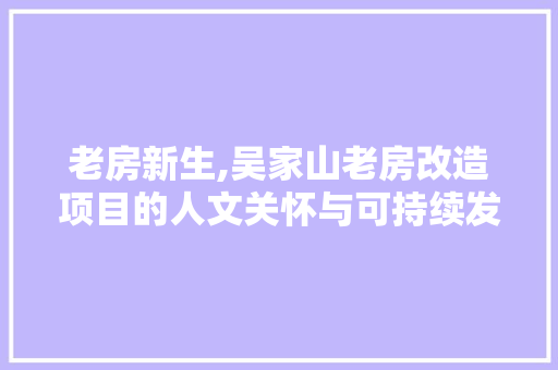 老房新生,吴家山老房改造项目的人文关怀与可持续发展