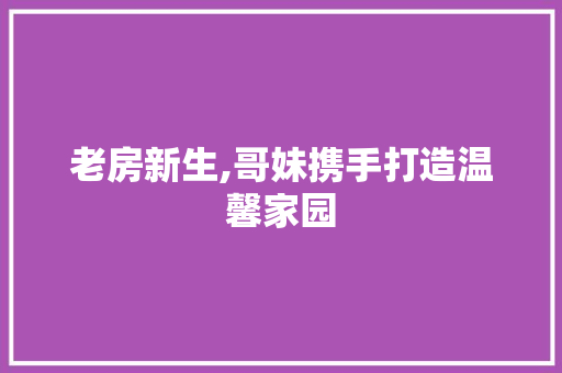 老房新生,哥妹携手打造温馨家园