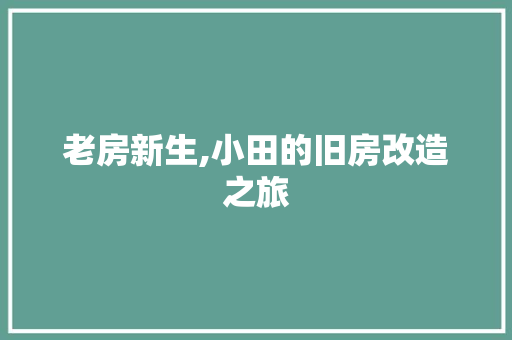 老房新生,小田的旧房改造之旅