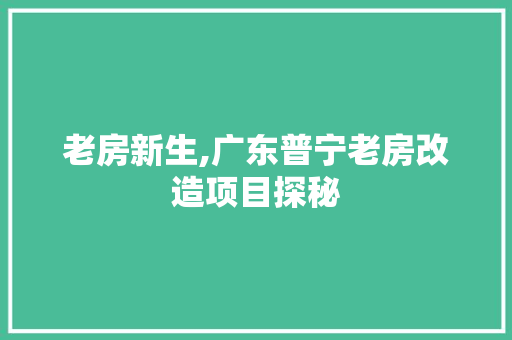 老房新生,广东普宁老房改造项目探秘 墙体维修