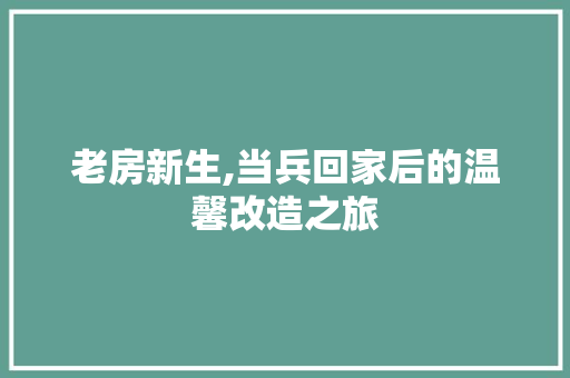 老房新生,当兵回家后的温馨改造之旅