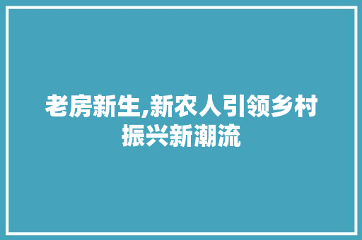 老房新生,新农人引领乡村振兴新潮流