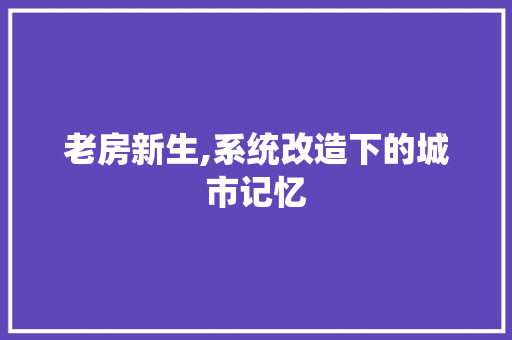 老房新生,系统改造下的城市记忆