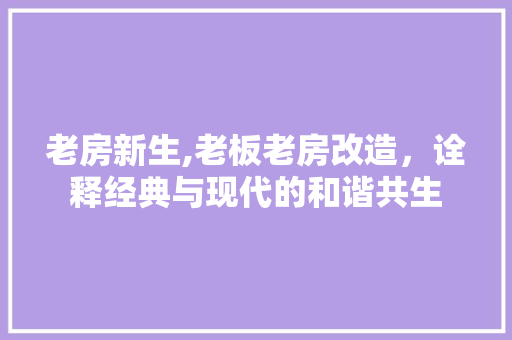 老房新生,老板老房改造，诠释经典与现代的和谐共生