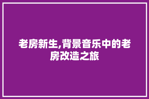 老房新生,背景音乐中的老房改造之旅