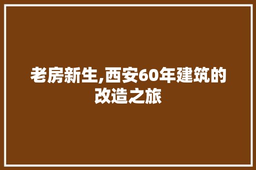 老房新生,西安60年建筑的改造之旅