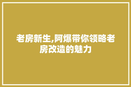 老房新生,阿爆带你领略老房改造的魅力