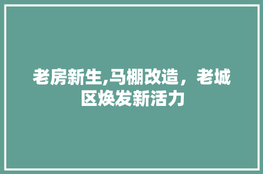 老房新生,马棚改造，老城区焕发新活力