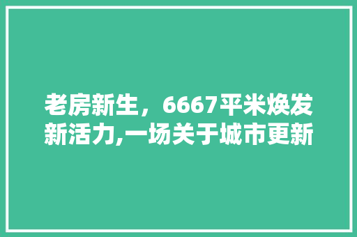 老房新生，6667平米焕发新活力,一场关于城市更新的探索之旅