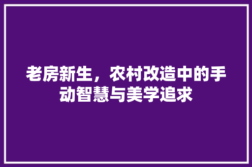 老房新生，农村改造中的手动智慧与美学追求