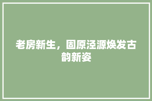 老房新生，固原泾源焕发古韵新姿