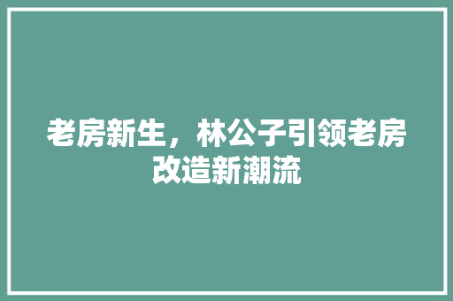 老房新生，林公子引领老房改造新潮流