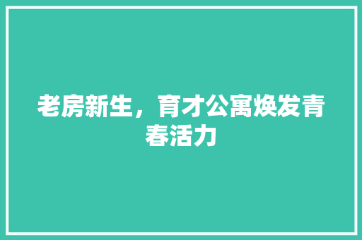 老房新生，育才公寓焕发青春活力