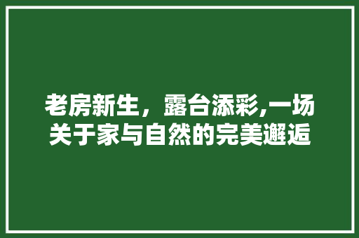 老房新生，露台添彩,一场关于家与自然的完美邂逅