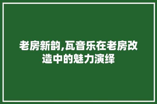 老房新韵,瓦音乐在老房改造中的魅力演绎