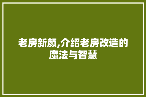 老房新颜,介绍老房改造的魔法与智慧