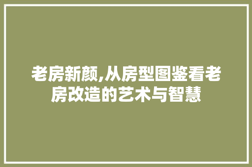 老房新颜,从房型图鉴看老房改造的艺术与智慧