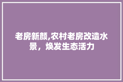 老房新颜,农村老房改造水景，焕发生态活力
