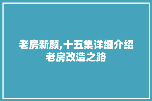 老房新颜,十五集详细介绍老房改造之路