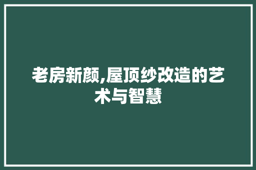 老房新颜,屋顶纱改造的艺术与智慧