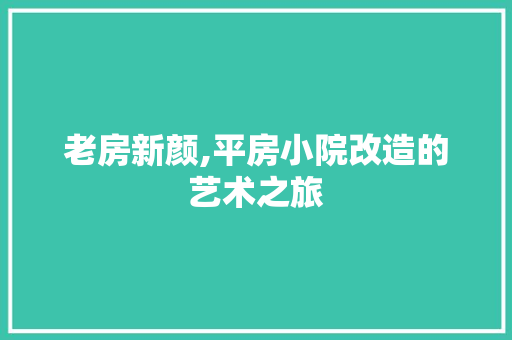 老房新颜,平房小院改造的艺术之旅