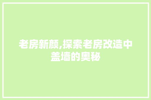 老房新颜,探索老房改造中盖墙的奥秘