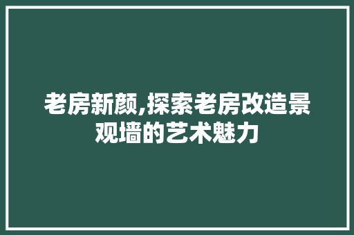老房新颜,探索老房改造景观墙的艺术魅力