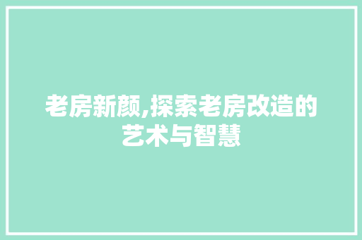 老房新颜,探索老房改造的艺术与智慧